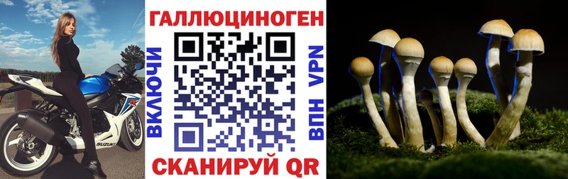darknet формула Олонец Псилоцибиновые грибы Psilocybe