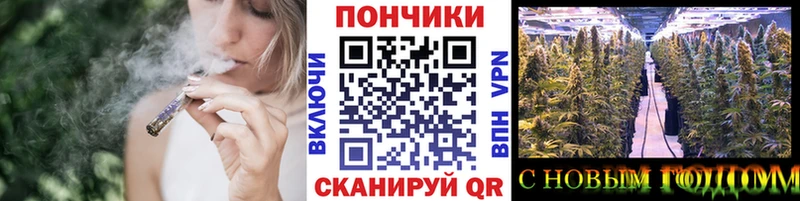 где купить наркоту  Олонец  Марихуана SATIVA & INDICA 